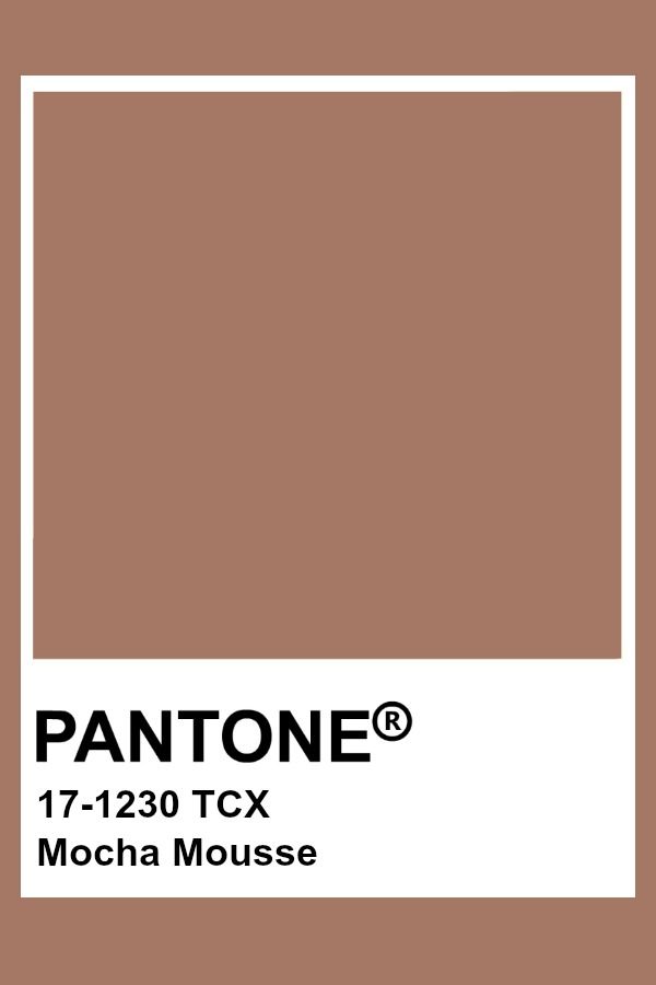 Cor mocha mousse pantone