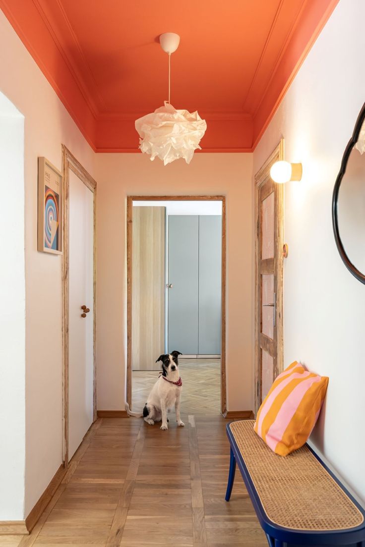 corredor com piso de madeira e tons neutros nas paredes e mobilia com teto laranja